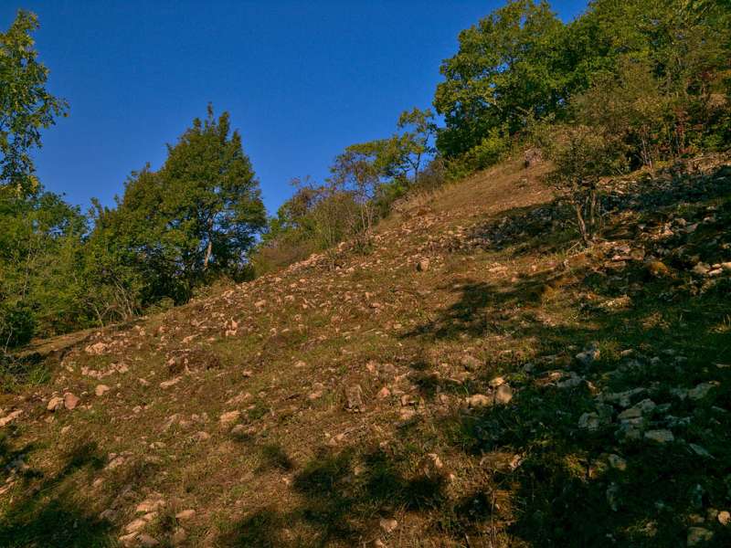 Emmanuel Stourm 2020
Licence Open Data Réserve naturelle de hammelsberg