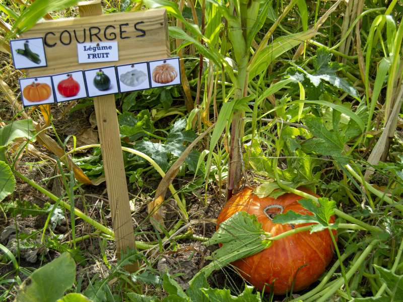 Julie Moritz - Trois Frontières Tourisme La campagne du pony ranch