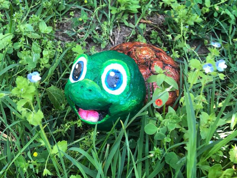 Petite Tortue Petite tortue