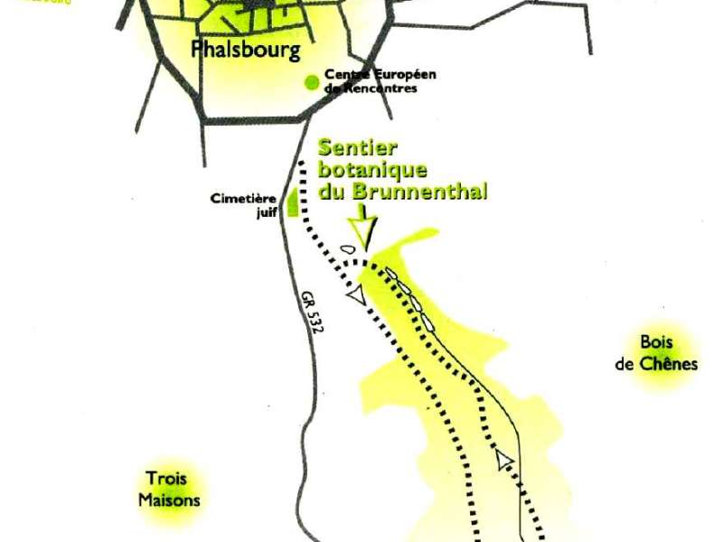 Paul KITTEL  Sentier botanique du Brunnenthal