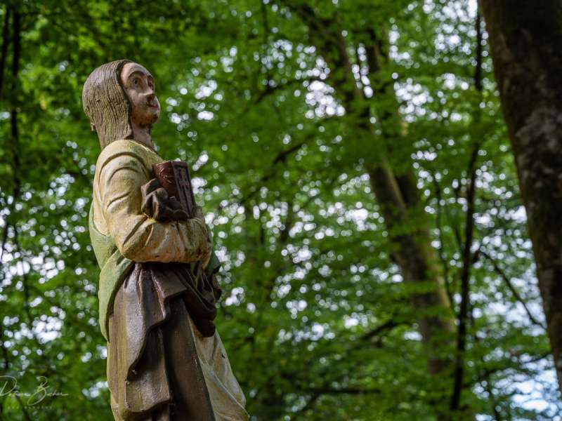 P. BUCHER Circuit la chapelle Saint-Fridolin et la grotte des francs tireurs