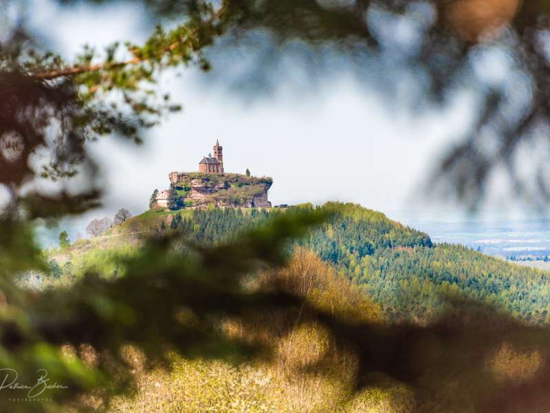 Patrice BUCHER Circuit le rocher du pays de Dabo