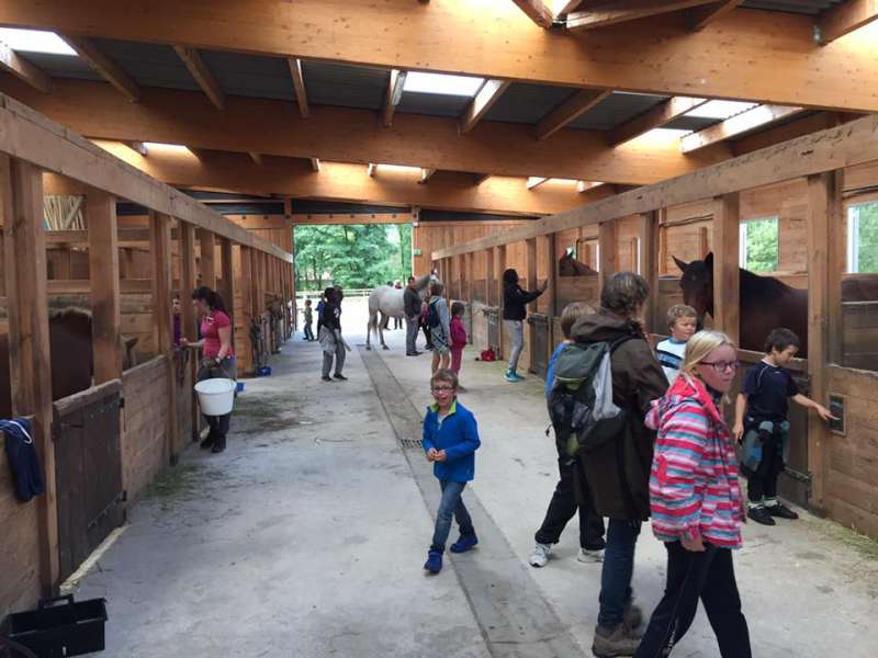 Les Balzanes  Equestrian farm Balzanes