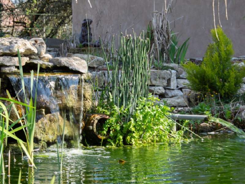 Manoir le Refuge Bed and breakfast Manoir le Refuge