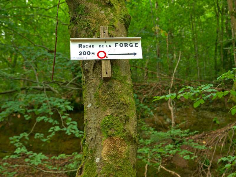 Emmanuel Stourm 2020
Licence Open Data Forge rock