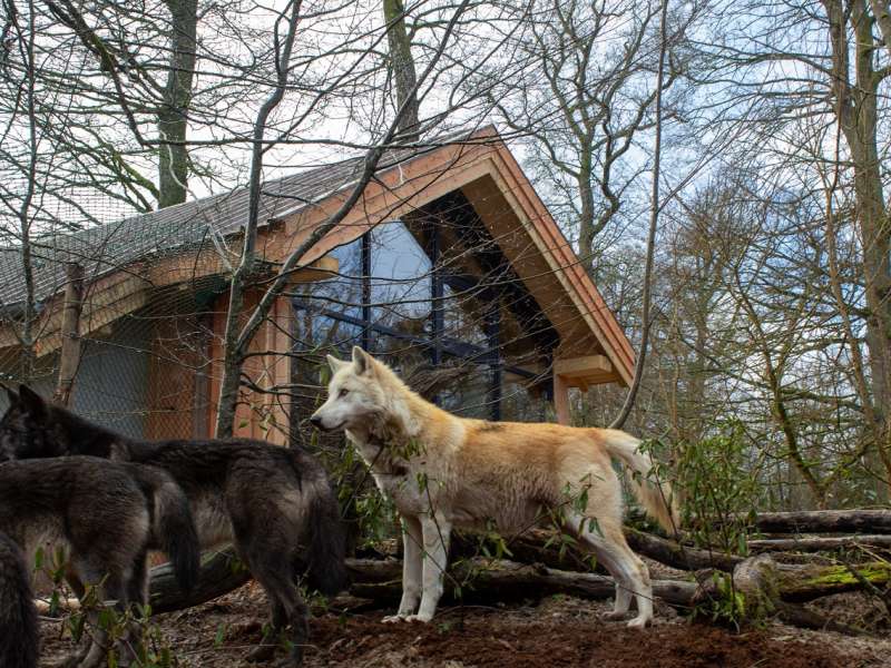 Margaux C Unusual accommodation - Yukon lodges
