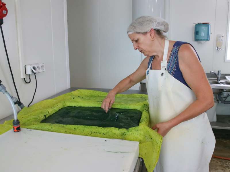 Lid Sirkis  Ferme aquacole les spires d'Aline