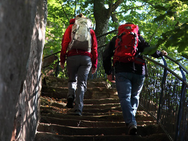 © T. Bichler BOW  The ruins of Ramstein castle