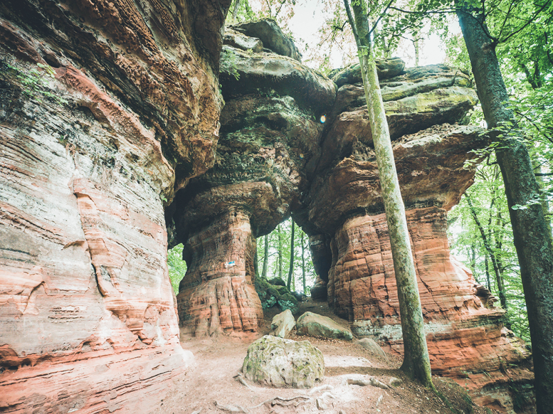 THE ALTSCHLOSSFELSEN ROCK