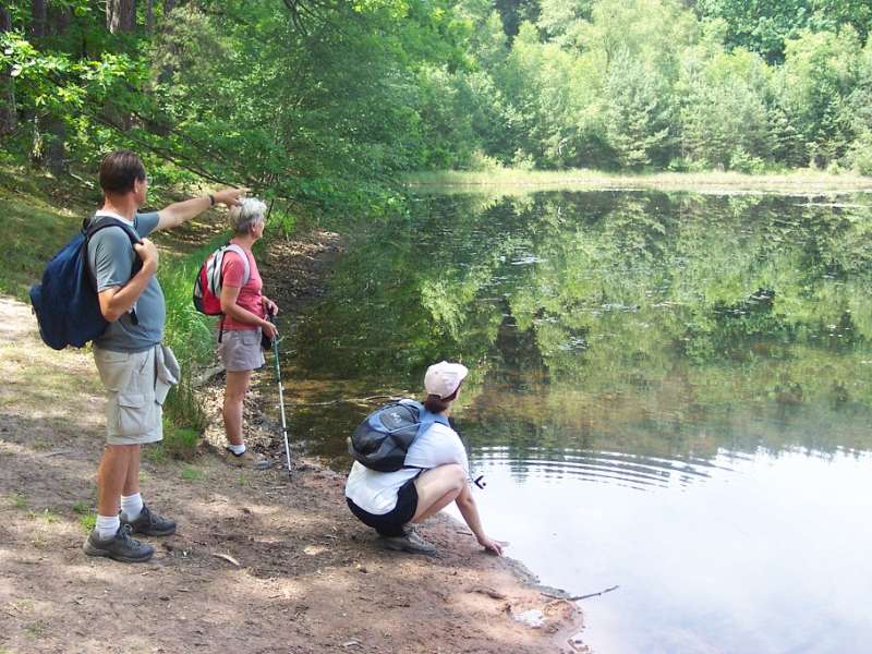 LIESCHBACH LAKE AND NATURE RESERVE