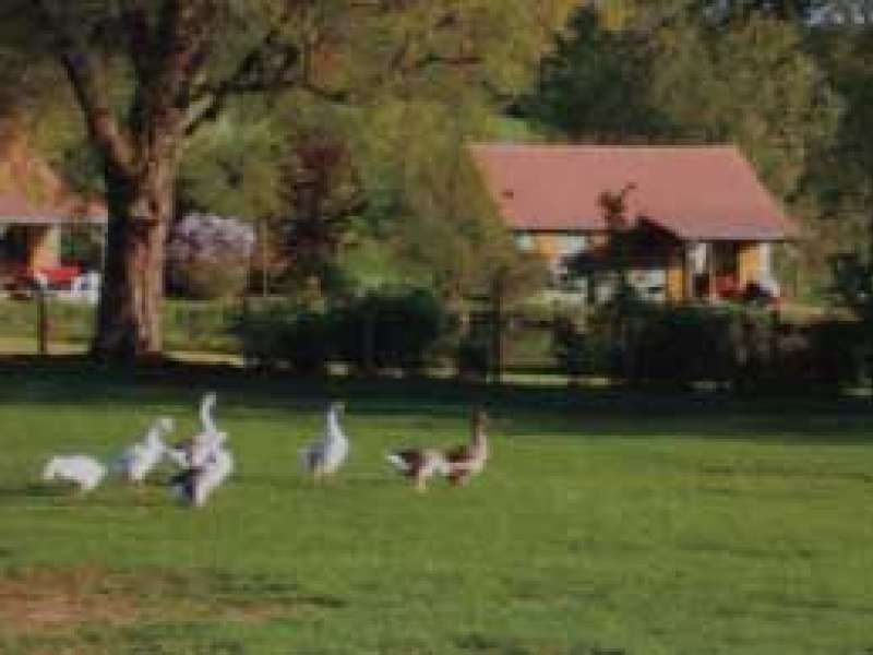 Earl ETAP École à la ferme