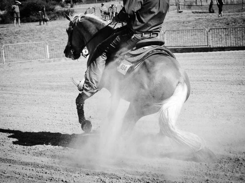 enbraye farm Centre de loisirs équestre Enbraye Farm