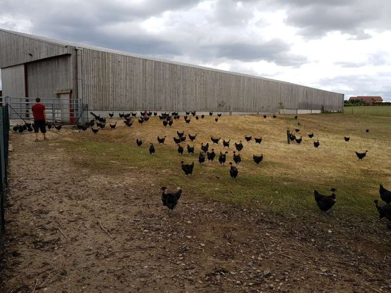 RL/Claire_FIORLETTA  Earl Rousselle