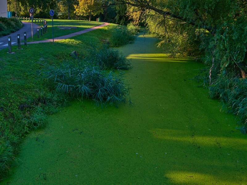 Emmanuel Stourm 2020
Licence Open Data Lindre bicycle route