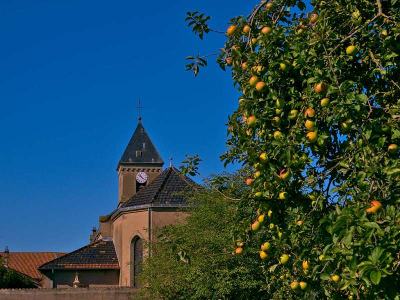 Emmanuel Stourm 2020
Licence Open Data Ponds circuit - Rhodes - Lindre - Canal