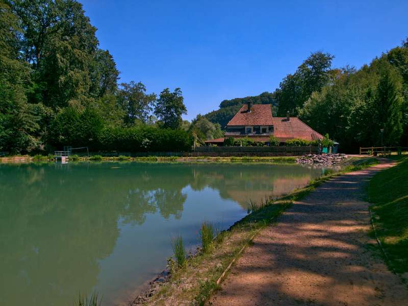 Emmanuel Stourm 2020
Licence Open Data Steinberg - Jeanne d'Arc