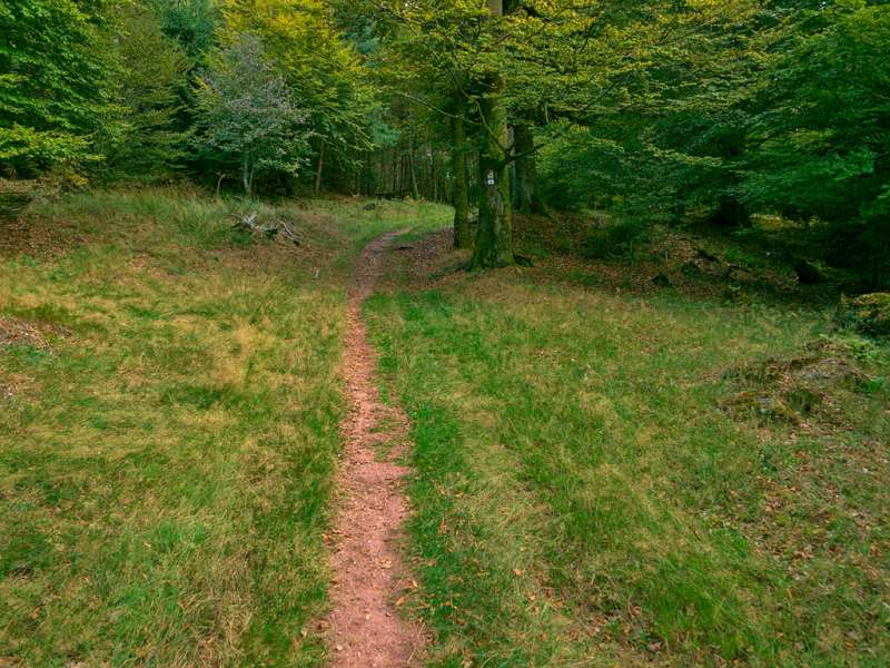 Emmanuel Stourm 2020
Licence Open Data Tour de Walscheid