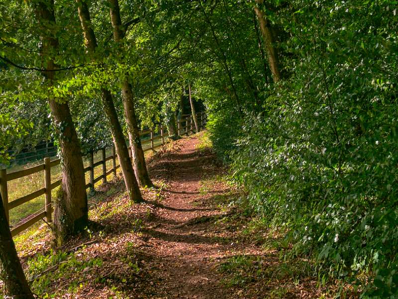 Emmanuel Stourm
Licence Opendata GR501 from Apach to Yutz