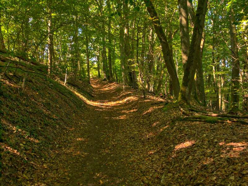 Emmanuel Stourm 2020 GR501 from Rombas to Plappeville