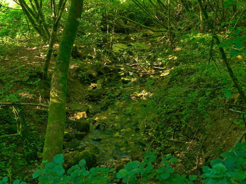 Emmanuel Stourm 2020
Licence Open Data  Malbrouck mountain bike circuit (variant)