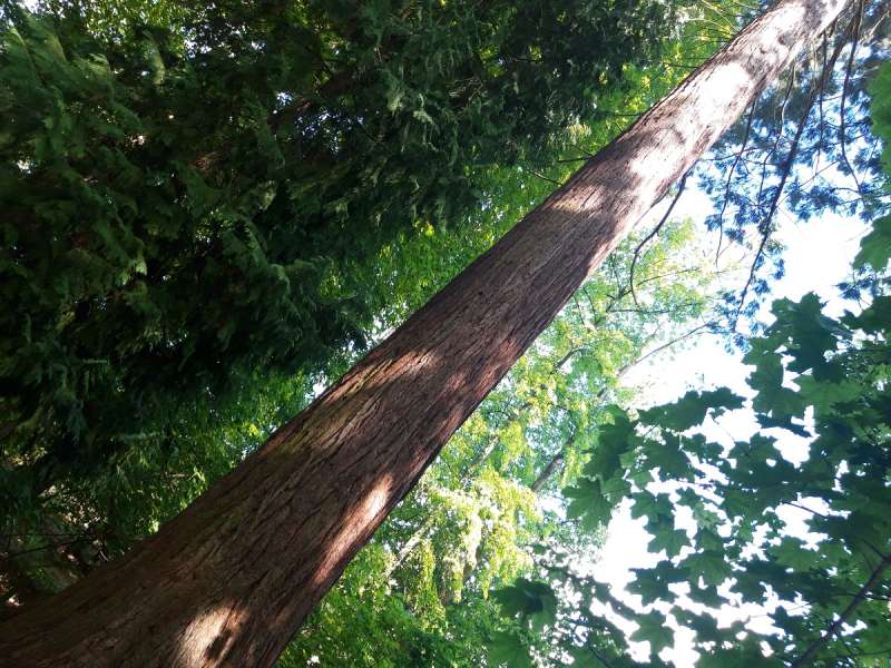 OT Saint-Avold Coeur de Moselle Madonna circuit