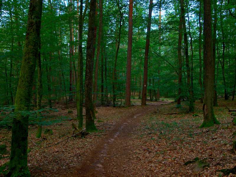 Emmanuel Stourm 2020
Licence Open Data  Châteaux loop on horseback