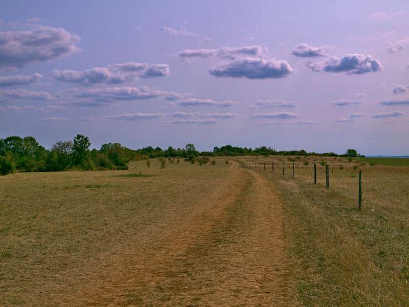 Emmanuel Stourm 2020
Licence Open Data Limestone lawns