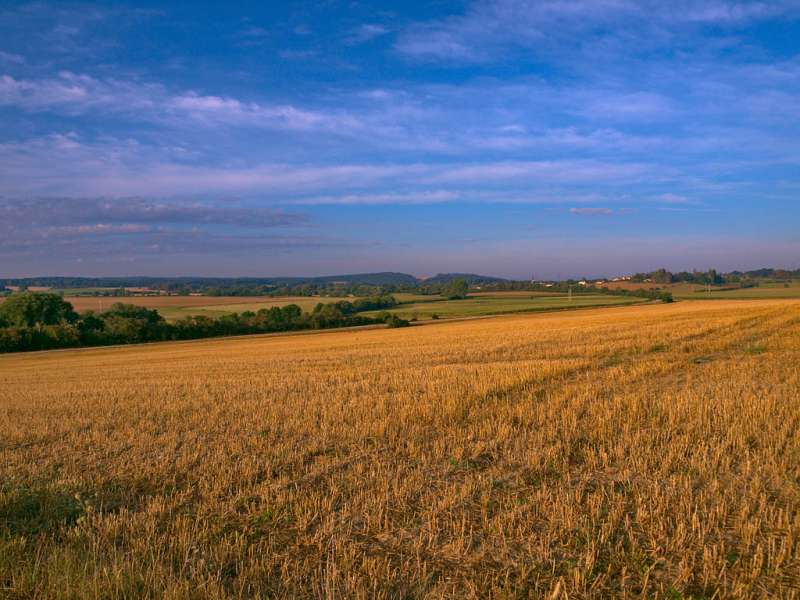 Emmanuel Stourm
Licence Opendata 2020  Connection Lion fountain - chemin des écoliers