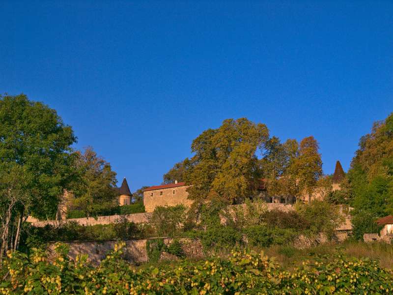 CHATEAU DE HOMBOURG-BUDANGE