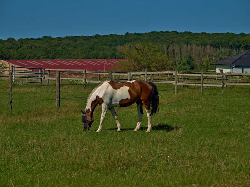 Emmanuel Stourm 2021  Around the mardelles