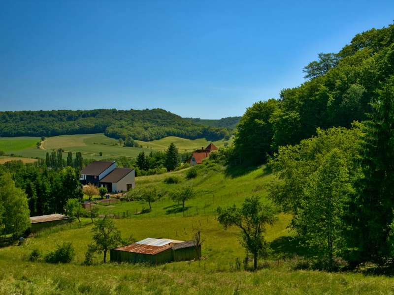 Emmanuel Stourm 2021 Between Bibiche and Canner