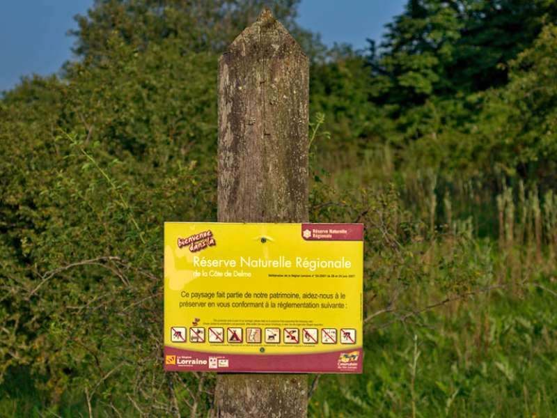 Emmanuel Stourm 2021  Sources of the elme river