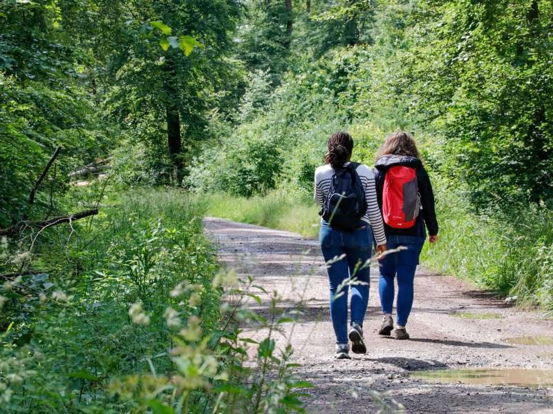 CTurpin_SarregueminesTourisme The Zettingerwald