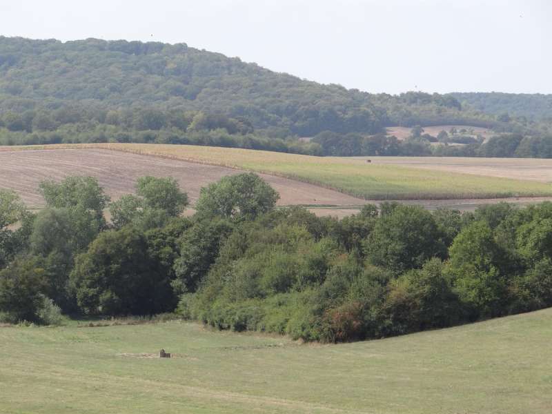 Alain Behr Circuit du Chêne et des Coteaux de la Canner