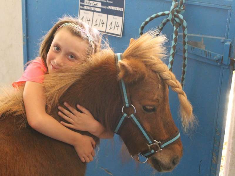 Ecole équitation Saint-Avold  École d'équitation de Saint-Avold