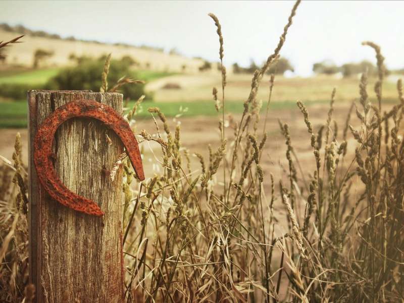 Libre de droit - Pixabay Haras du lys