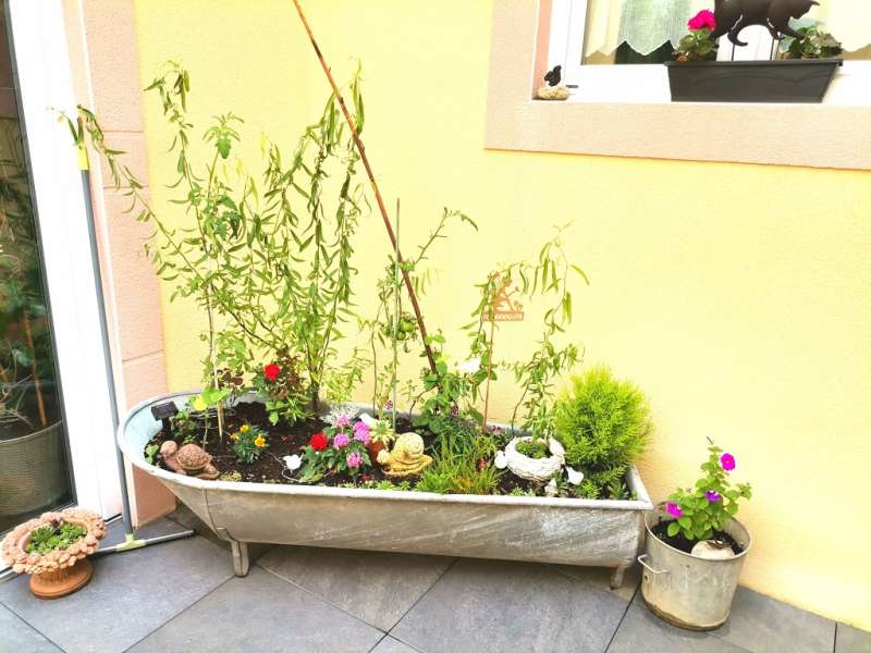 Mme Reslinger   Gîte Fairytale memories