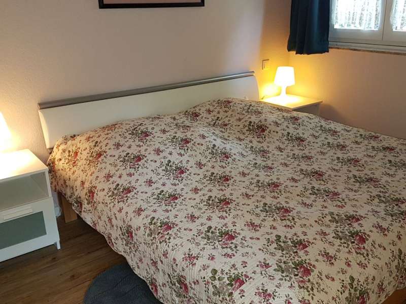 Michel Kany  Les Dames de la Montagne Cottage