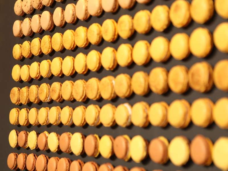 Ombres et lumières Instants de gourmandises