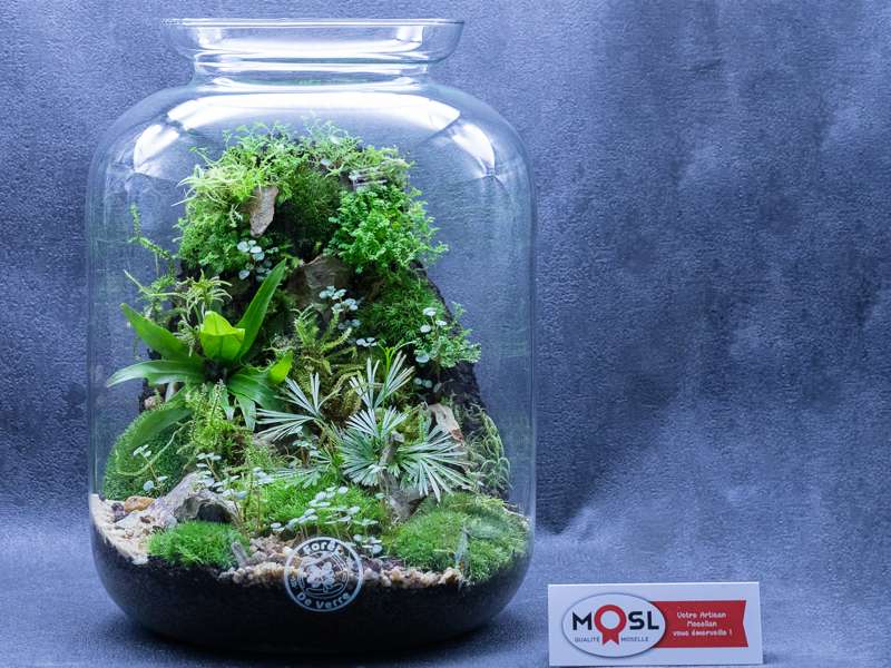 Laetitia Lhermite Forêt de verre