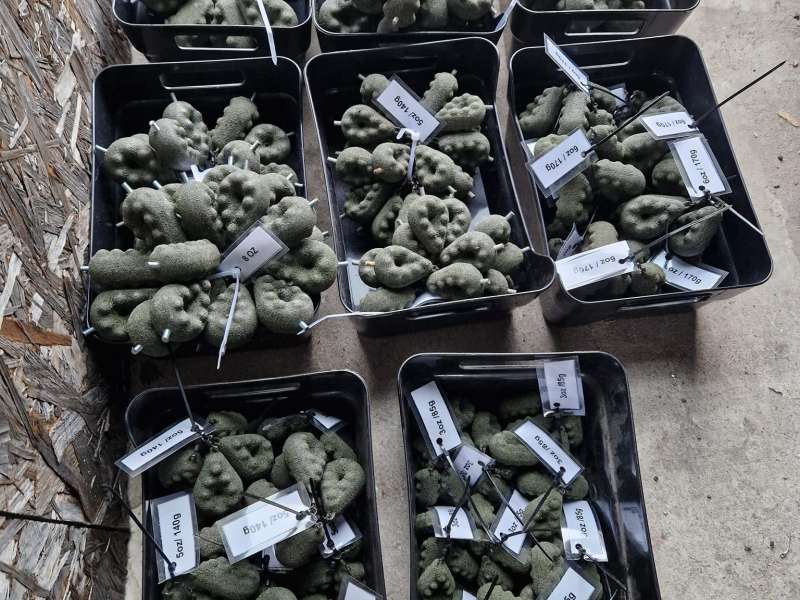 DP Plomb 57  DP Plomb 57