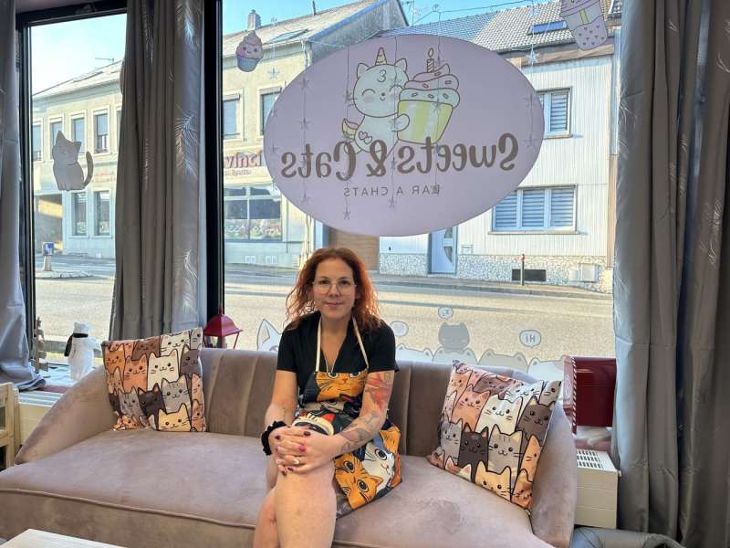 Radio Mélodie  Sweets & Cats - Bar à chats