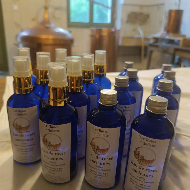 Les Roses de Juliette Les Roses de Juliette