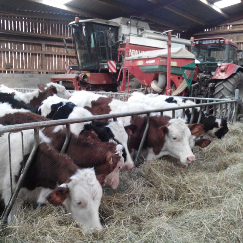 Colline des Pies Ferme Gaec la colline des pies