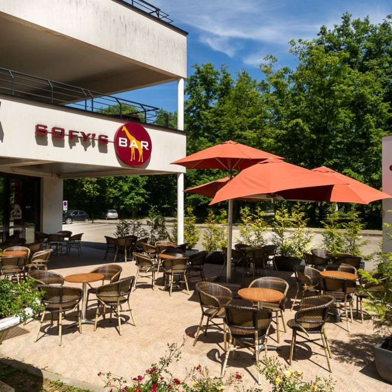 SAS MATT  Sofy's bar