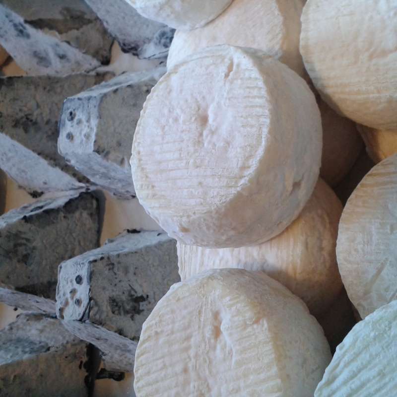 ferme fol épi  Fol Épi farm