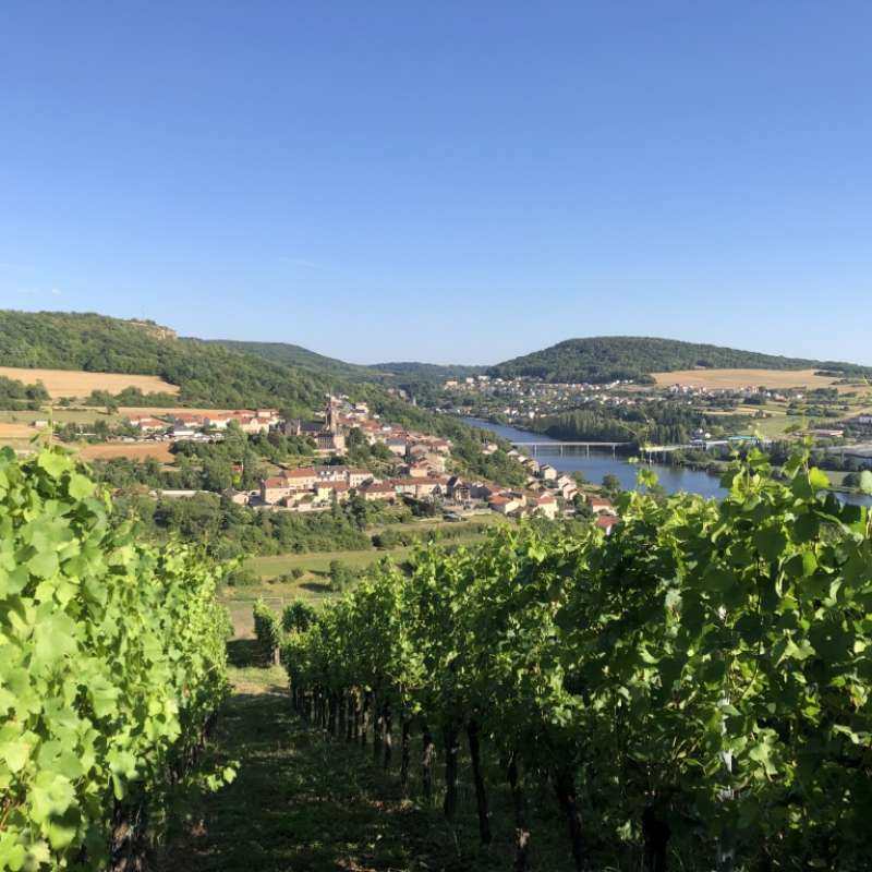 Photo SONTAG Domaine Sontag