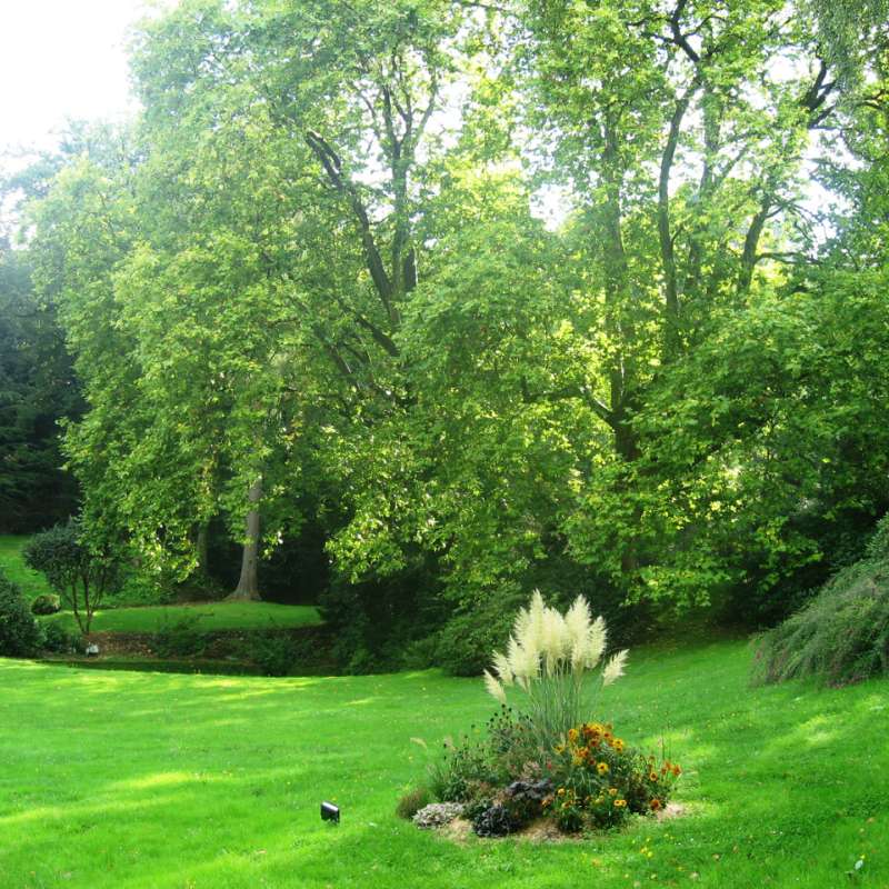 OTCCFM  Parc du Château d'Hausen