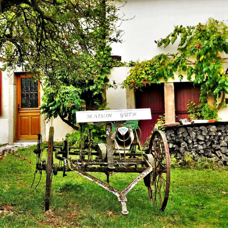 Virginie BERNHARD Hoste - Valette