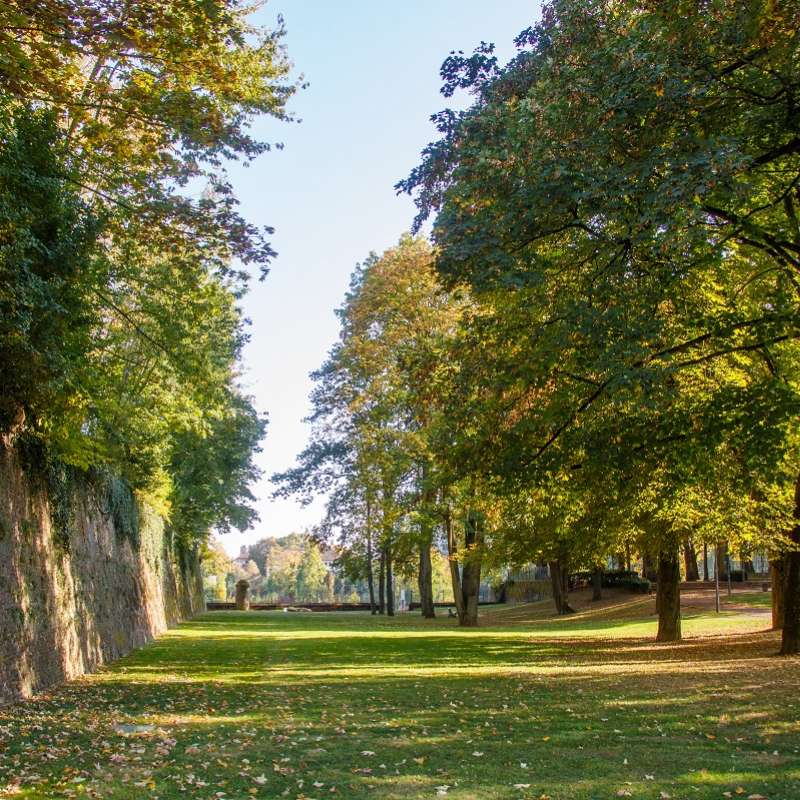 Ville de Thionville  S.Thévenin  Wilson Park